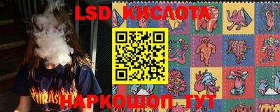 метадон Гусев