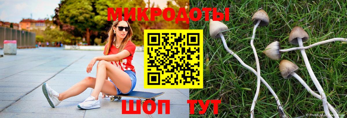 Галлюциногенные грибы Magic Shrooms  Галлюциногенные грибы Psilocybine cubensis  Малгобек  Вход с VPN 
